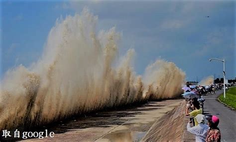 蘆洲煙雨浙江潮